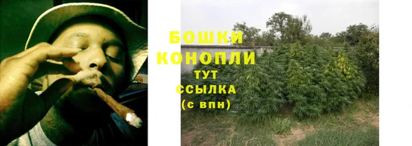 мяу мяу мука Вязьма