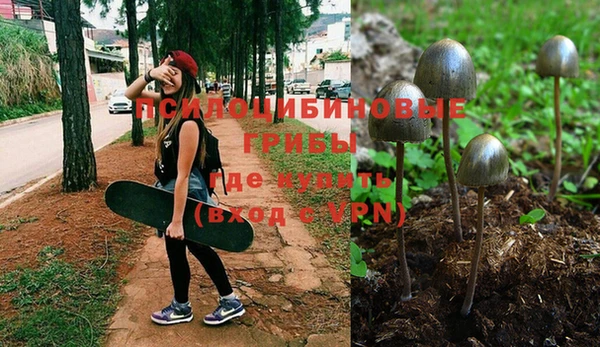 мяу мяу мука Вязьма