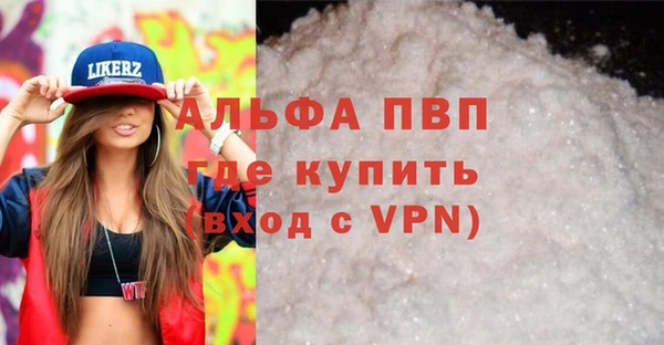 скорость Вяземский