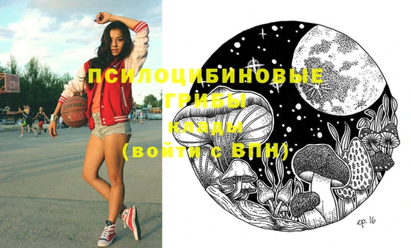 скорость Вяземский