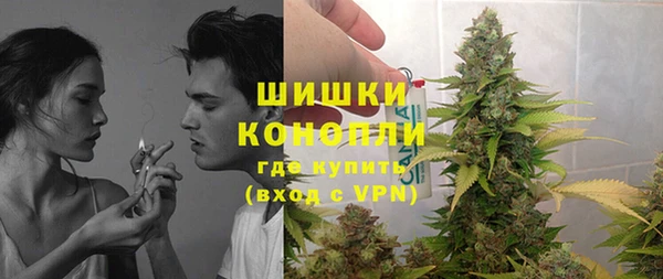 скорость Вяземский